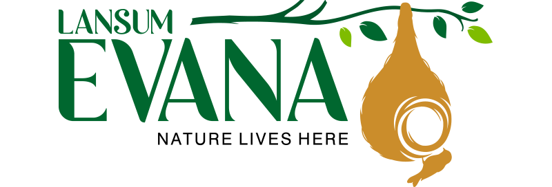 Lansum Evana logo